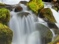 Jwèt Forest Waterfalls