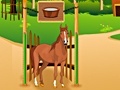 Jwèt Horse Care Apprenticship