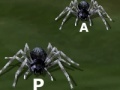 Jwèt Tarantuloid Typing Terror