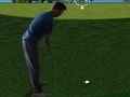 Jwèt Flash Golf 3D