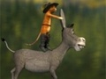 Jwèt Travel cat and a donkey