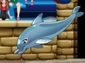 Jwèt My dolphin show 6