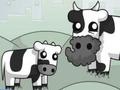 Jwèt Cowlorful