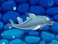 Jwèt My Dolphin Show 5