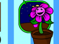 Jwèt My pocket plant 