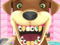 Jwèt Animal Dentist 