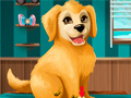 Jwèt Become a Puppy Groomer