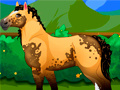 Jwèt Pony Dress Up