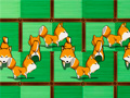Jwèt Shiba rescue : dogs and puppies