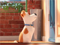Jwèt Hidden Letters in The Secret Life of Pets