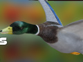 Jwèt Duck Hunter Autumn forest 