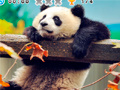 Jwèt Animal Habitats: Find Items