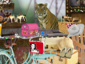 Jwèt The amazing Animal Circus