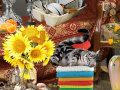 Jwèt Crazy Cat Lady