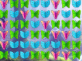 Jwèt Butterfly Collector