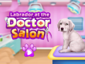 Jwèt Labrador at the doctor salon    
