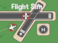 Jwèt Flight Sim