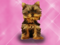 Jwèt Wash Pets Princess Kids    