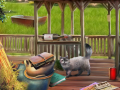 Jwèt Backyard Makeover
