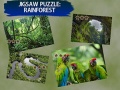 Jwèt Jigsaw Puzzle Rain Forest 