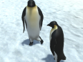 Jwèt The littlest penguin