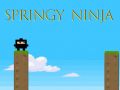 Jwèt Springy Ninja