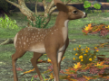 Jwèt Spot The differences Spring in the Woods