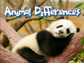 Jwèt Animal Differences 