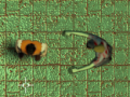 Jwèt Maze Of Infection