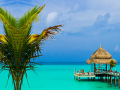 Jwèt Tropical Paradise