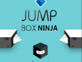 Jwèt Jump Box Ninja