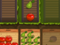 Jwèt Fruit Gardener