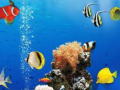 Jwèt Sea Underwater Difference