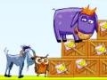 Jwèt Donkey Sean