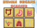 Jwèt Human Organs Scanner
