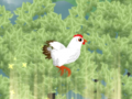 Jwèt Chickaboom