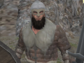 Jwèt Vikings Aggression
