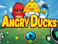 Jwèt Angry Ducks