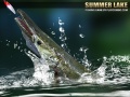 Jwèt Summer Lake 1.5