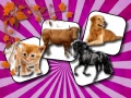 Jwèt Domestic Animal Memory Challenge