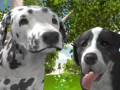 Jwèt Dog Simulator 3d