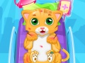 Jwèt Little Cat Doctor