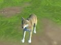 Jwèt Wolf Simulator