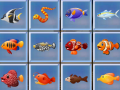 Jwèt Find The Fish