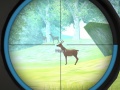 Jwèt Hunter Training