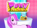 Jwèt Pony Pet Salon