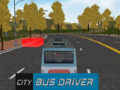 Jwèt City Bus Driver  