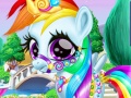 Jwèt Rainbow Pony Caring
