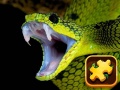 Jwèt Snake Puzzle Challenge