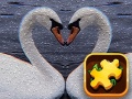 Jwèt Swan Puzzle Challenge